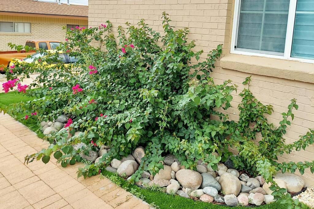 Hébergement de vacances My Cozy Duplex A In The Heart Of West Side El Paso